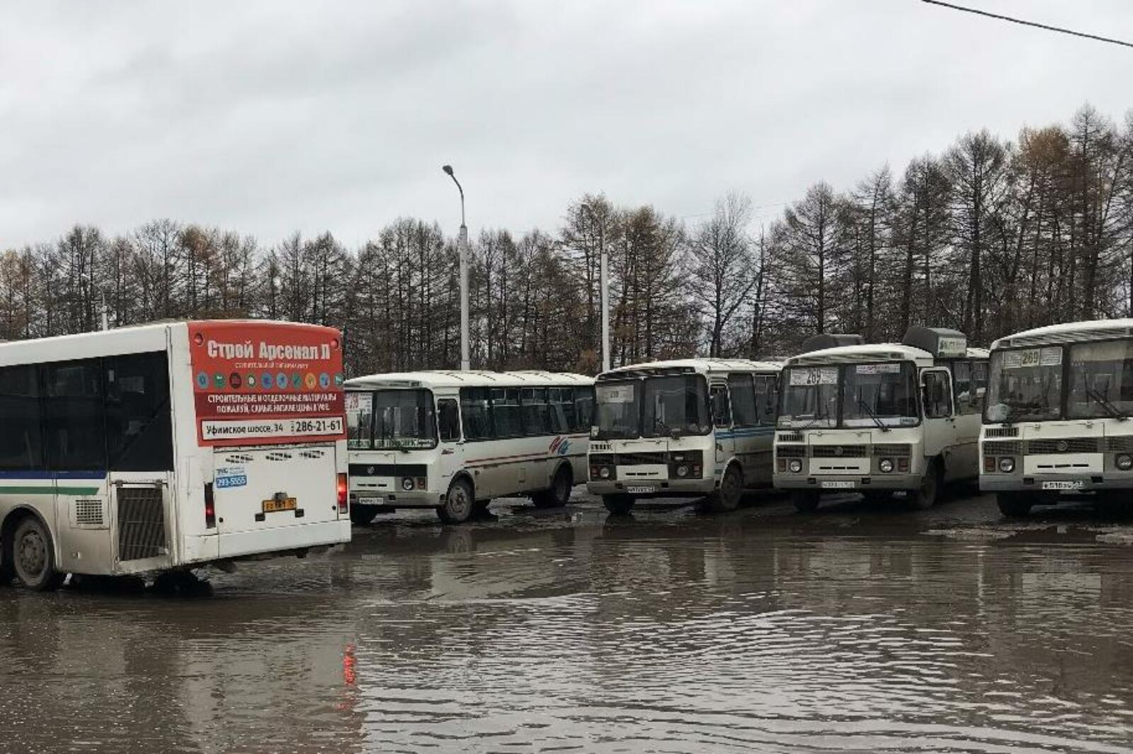 автор