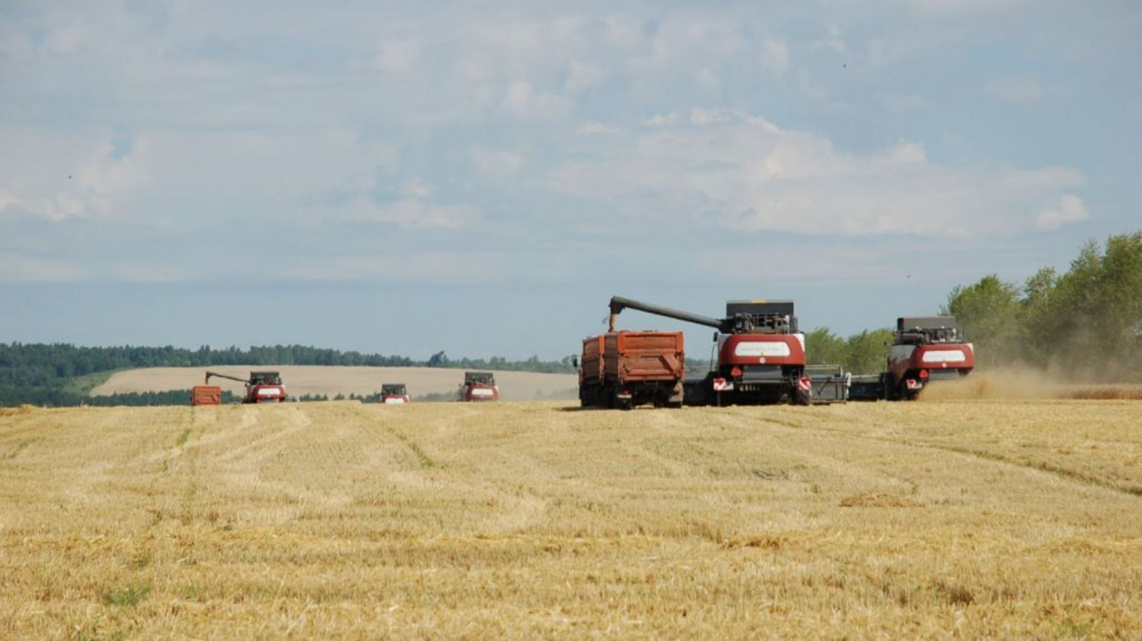 Минсельхоз РБ