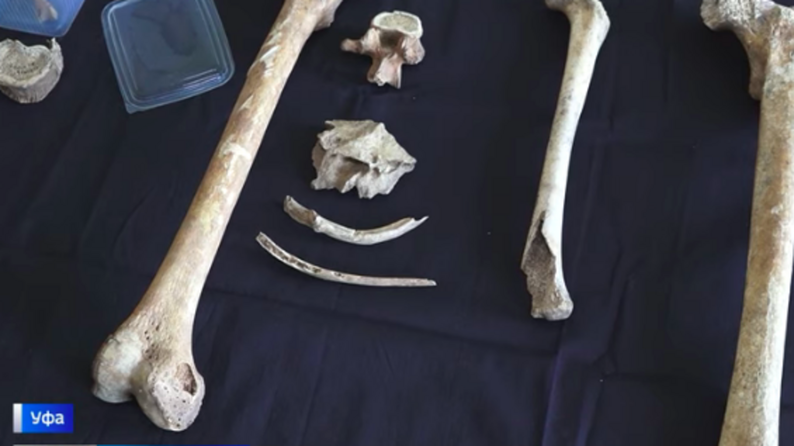 стоп-кадр видео