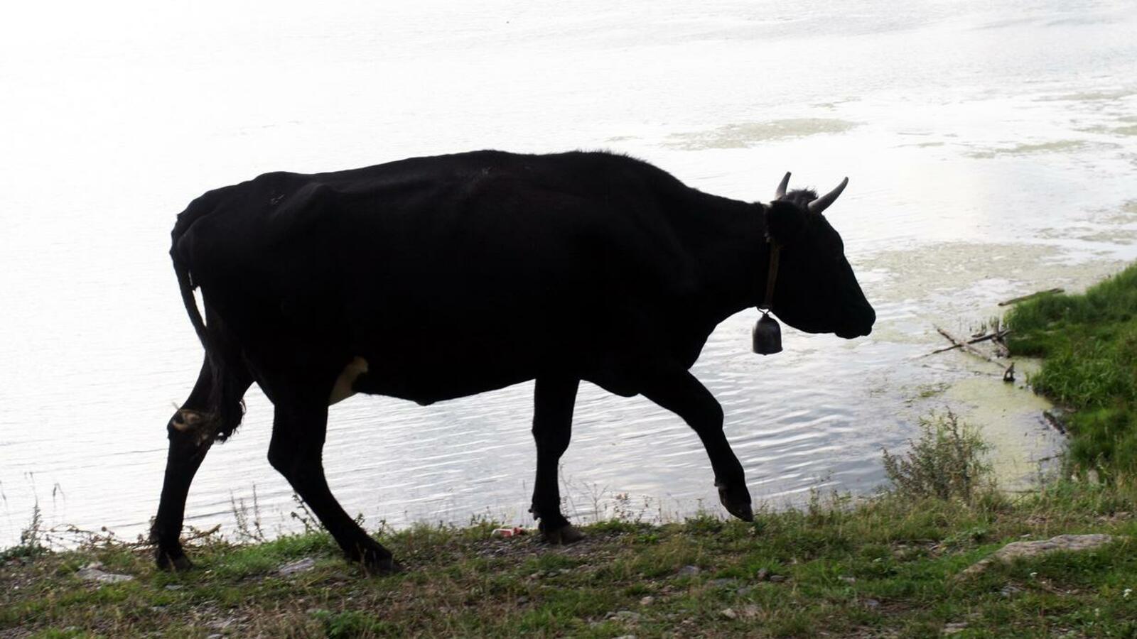 Книжная палата РБ