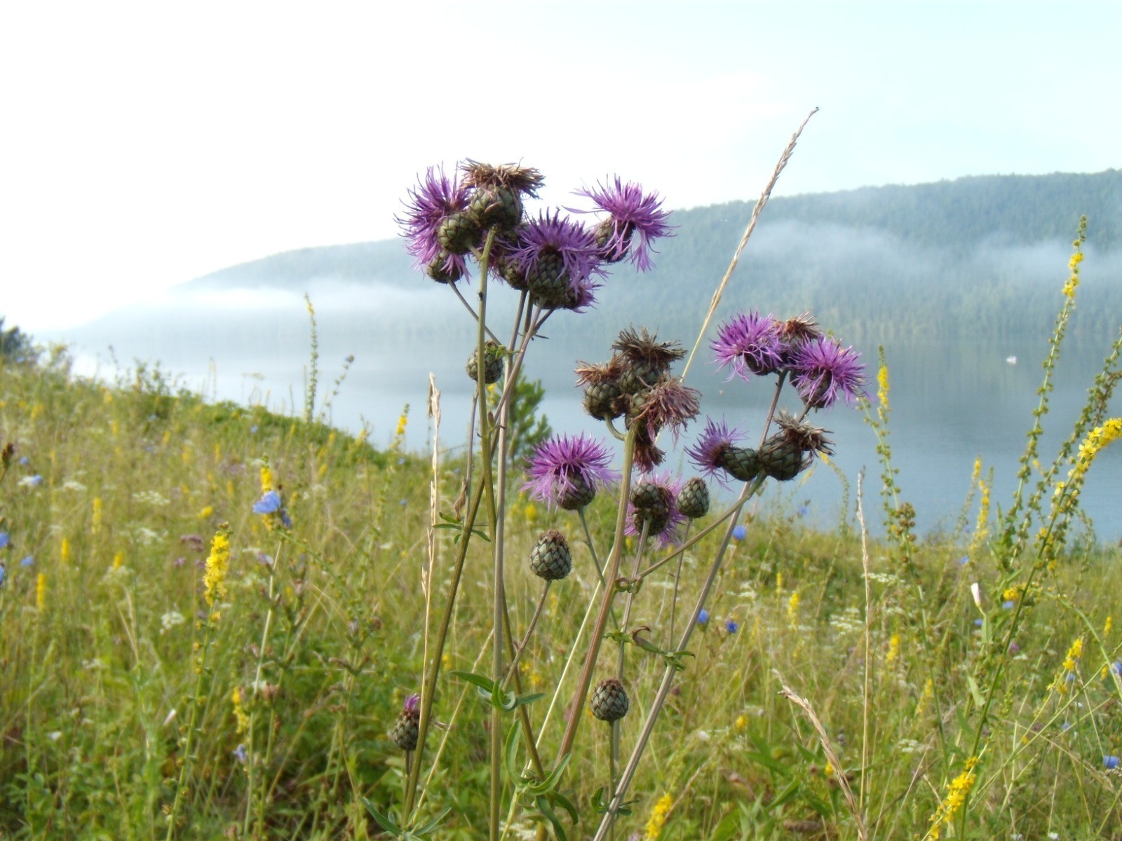 Валерий Шахов |  «Башинформ»