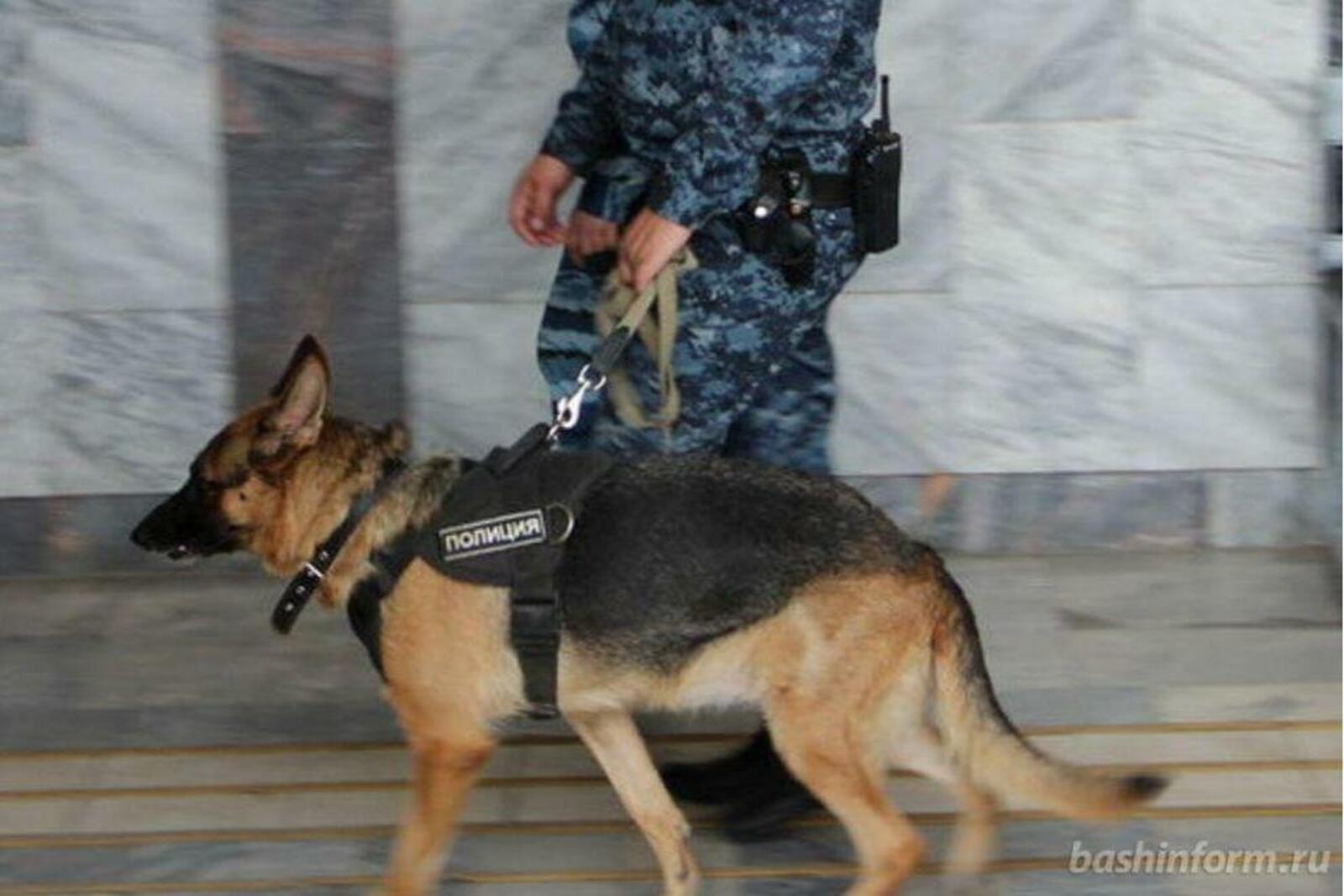 Ксения Калинина