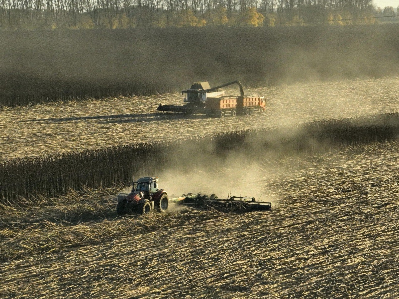 минсельхоз РБ