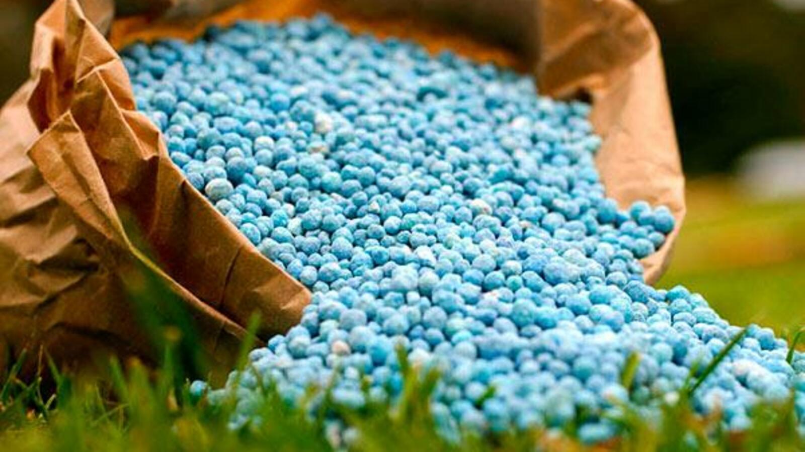 открытый источник