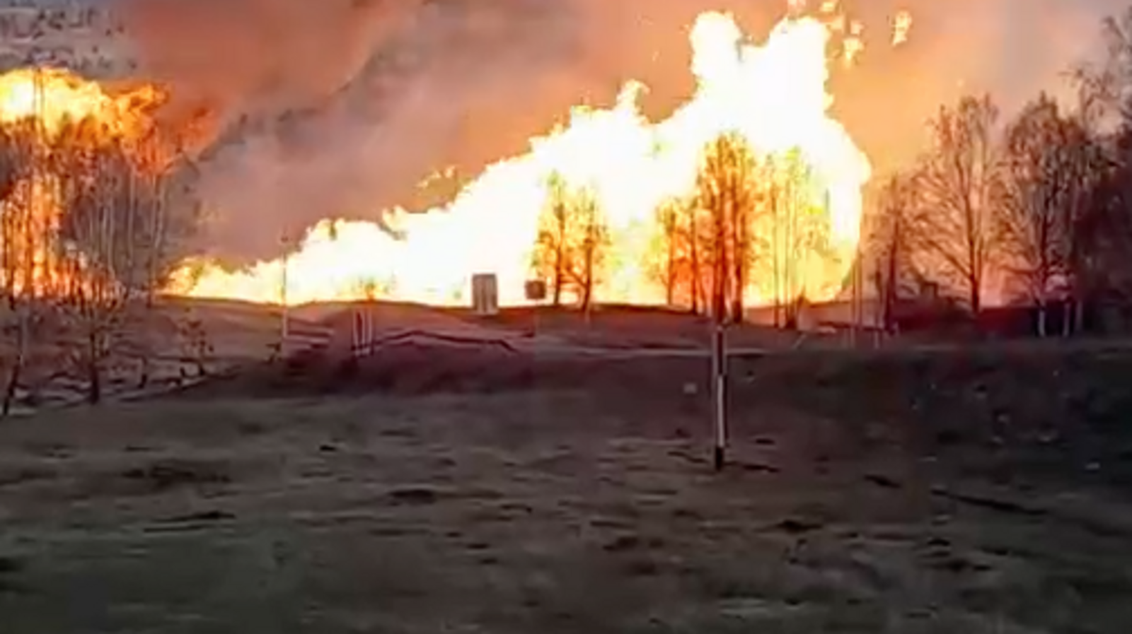 скрин видео