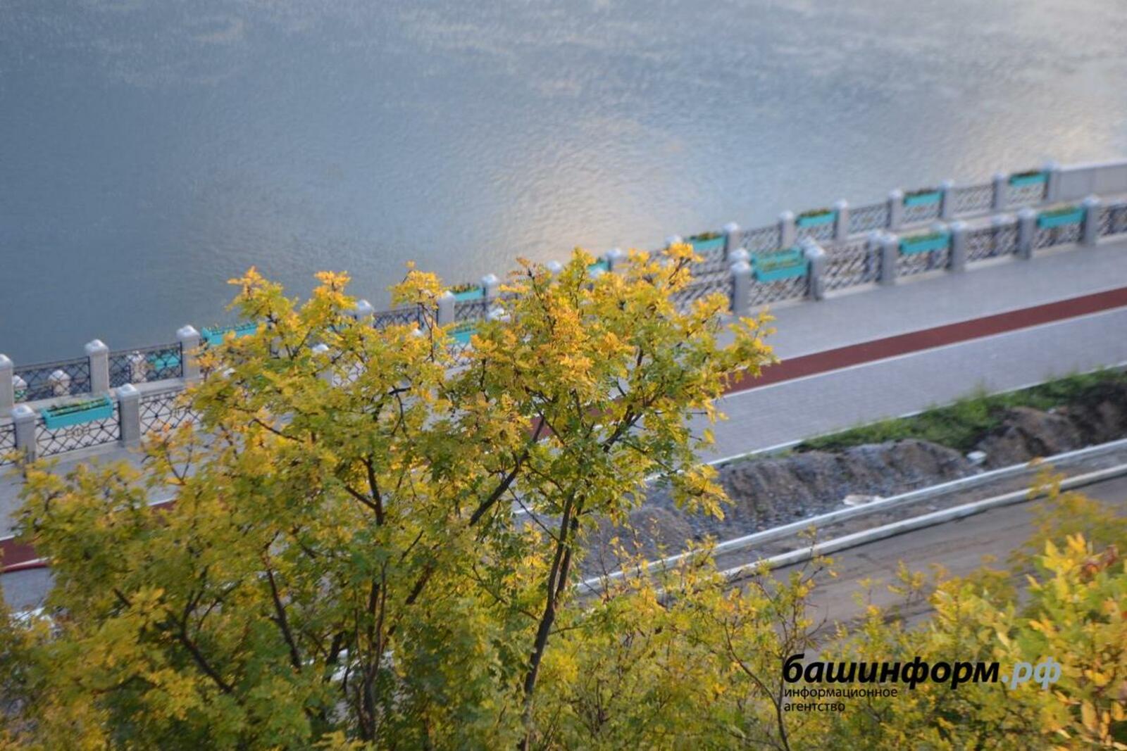 Ксения Калинина