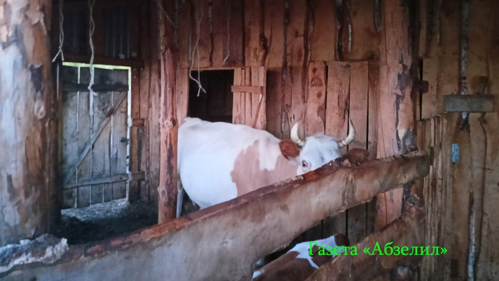 «Абзелил» гәзите