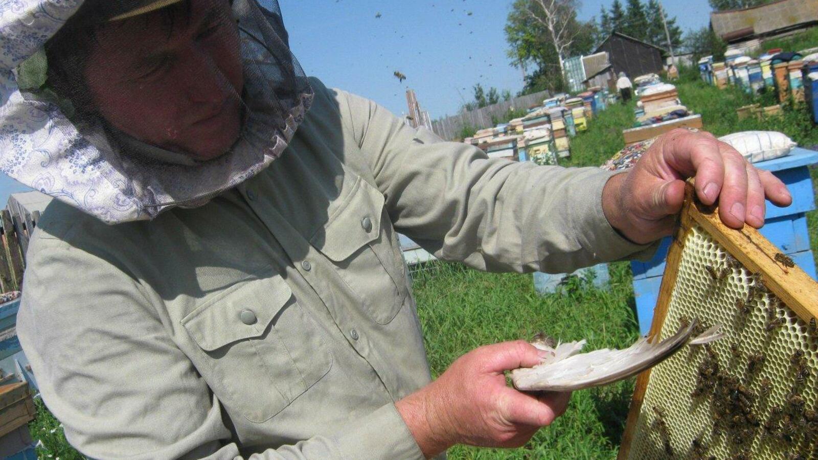 Розалия Валеева