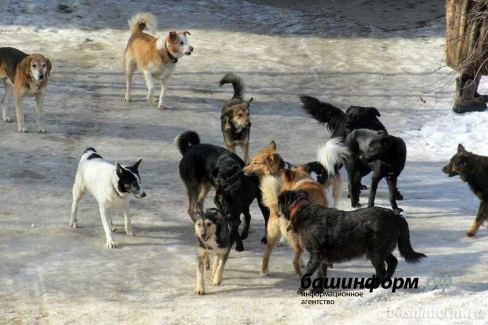 архив ИА "Башинформ"