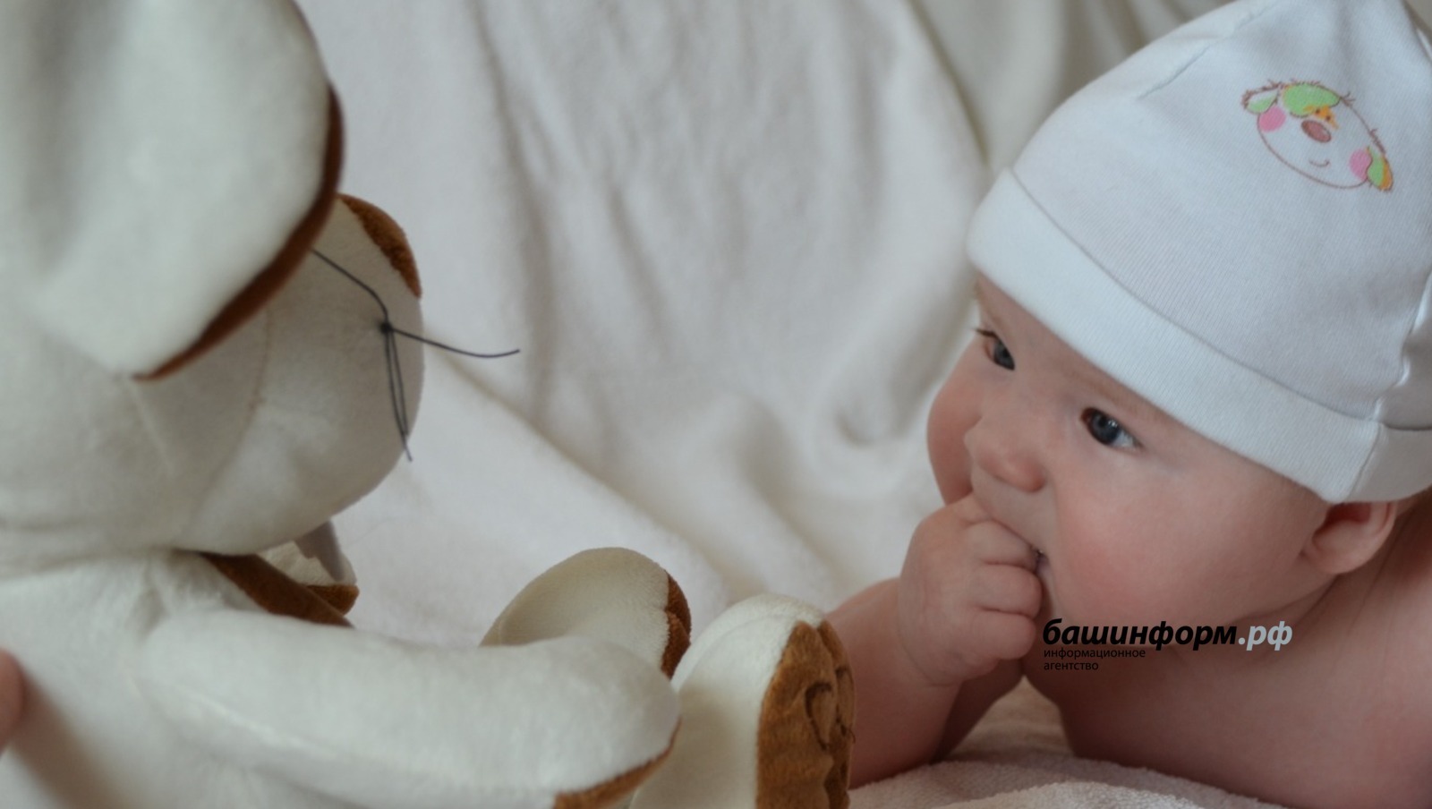 Ксения Калинина | «Башинформ» мәғлүмәт агентлығы