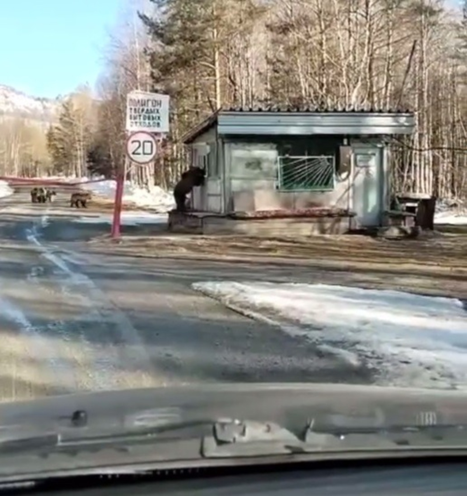 скрин видео