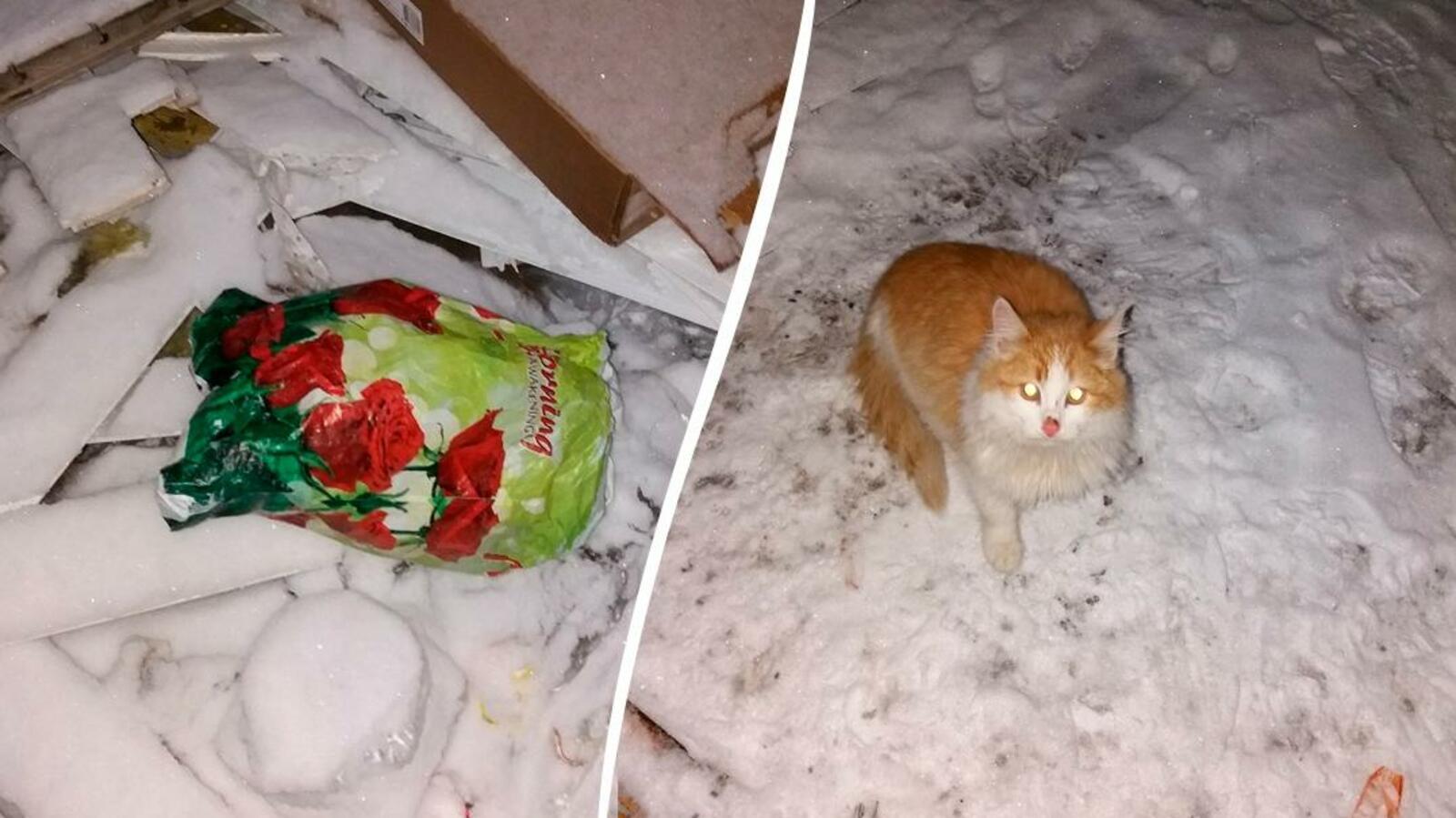 Подслушано Чишмы