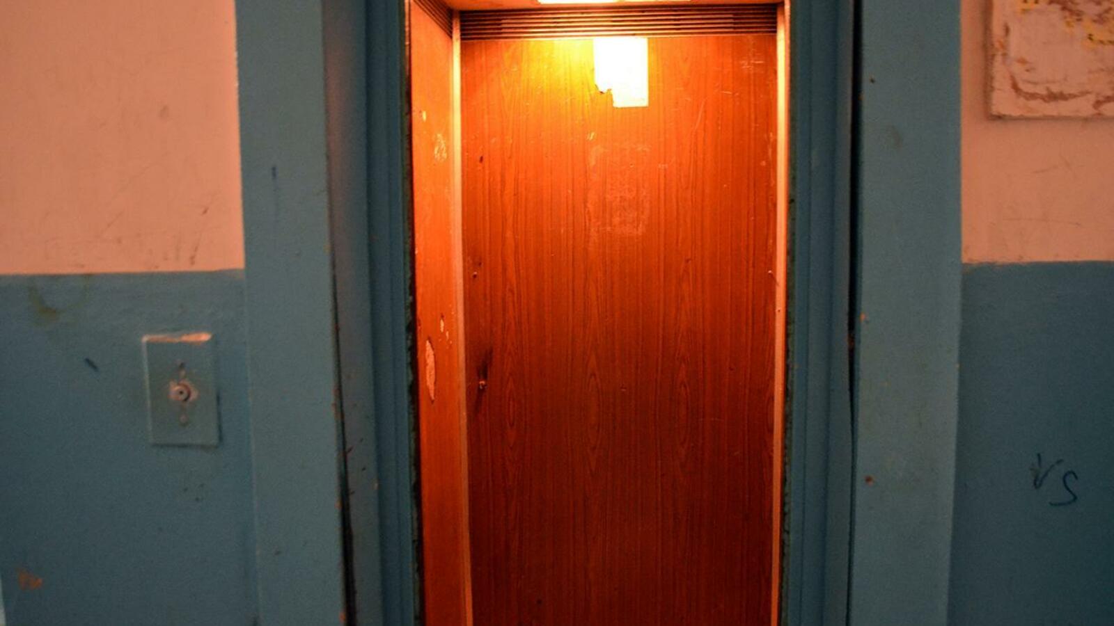 Ксения Калинина