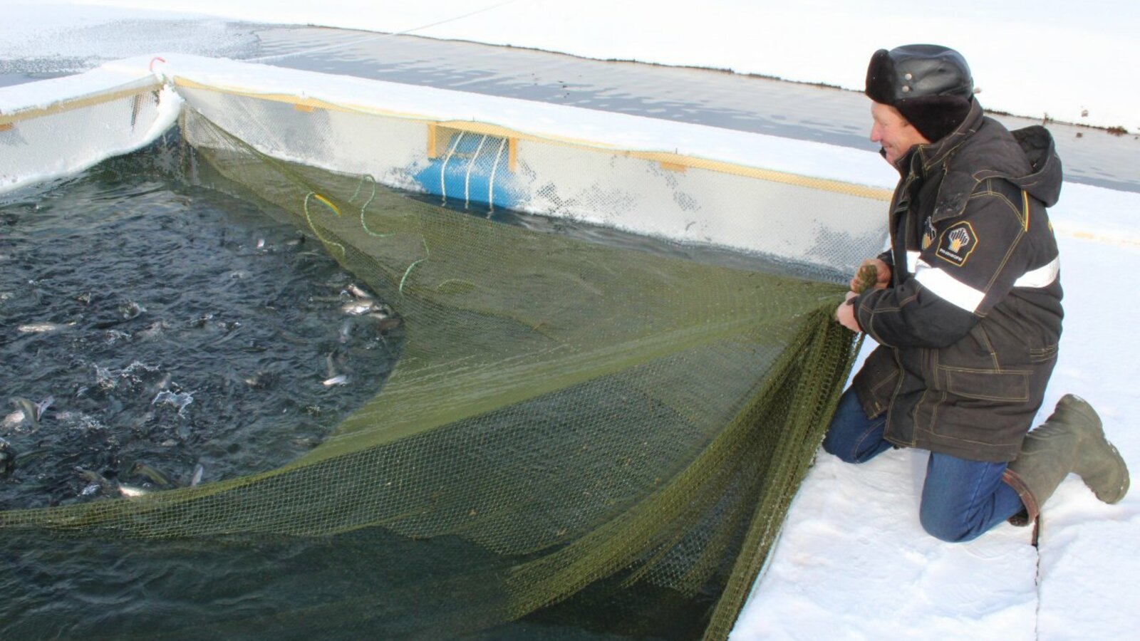 Анатолий Казаков