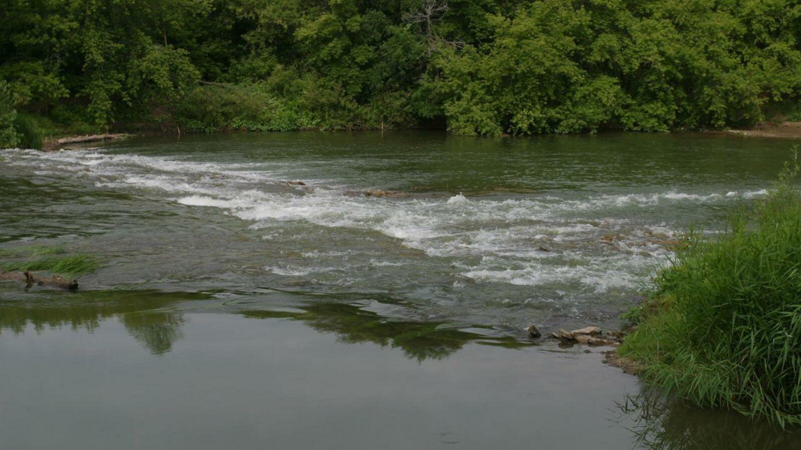 ИА «Башинформ»