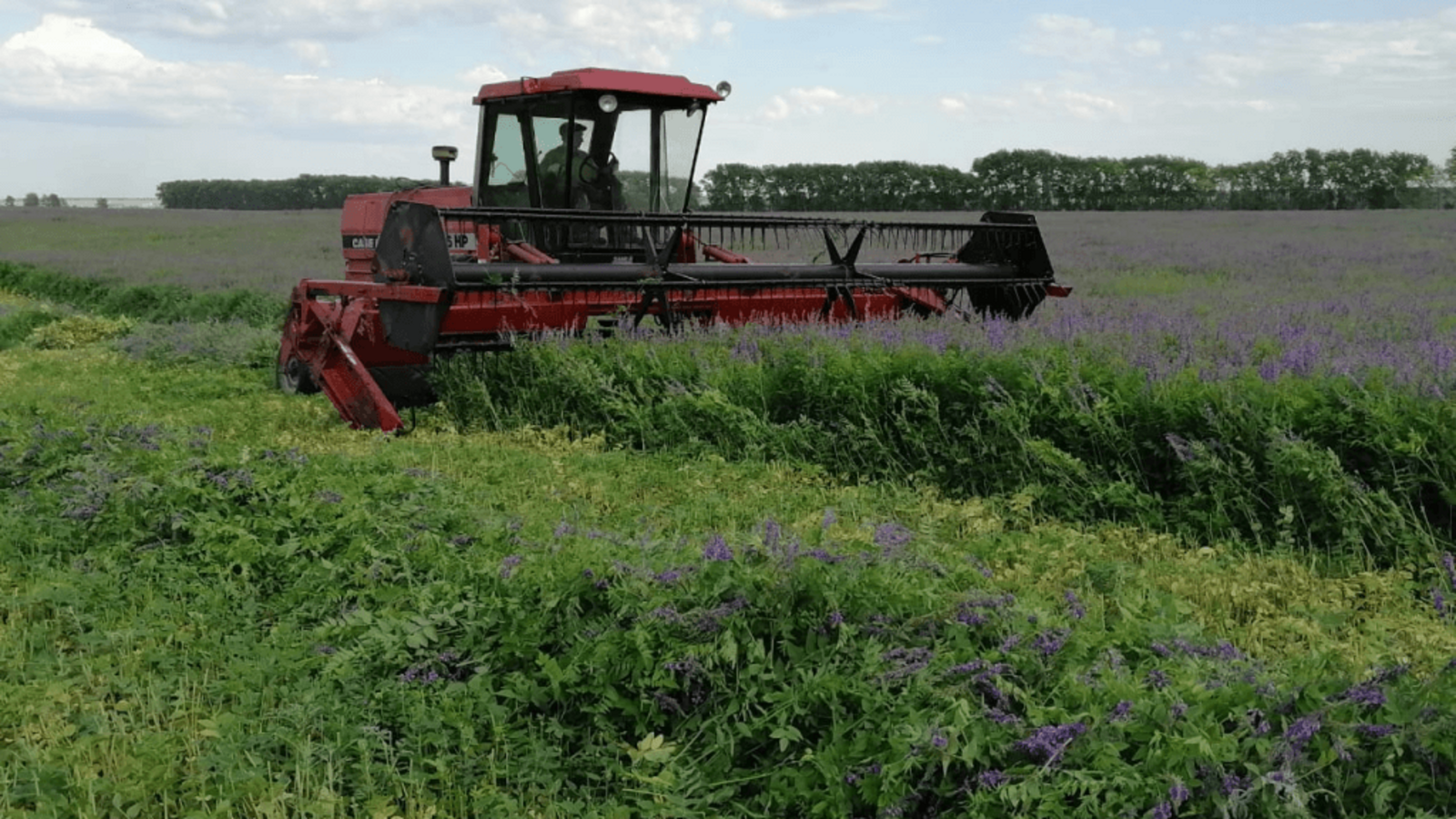 пресс-служба Минсельхоза Башкирии
