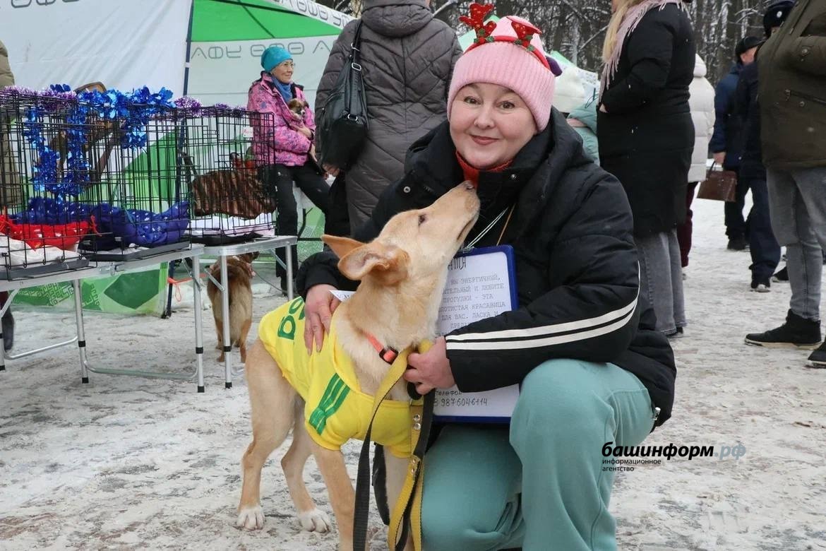 пресс-служба администрация Уфы
