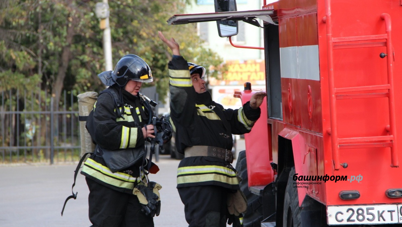 Ксения Калинина, архив