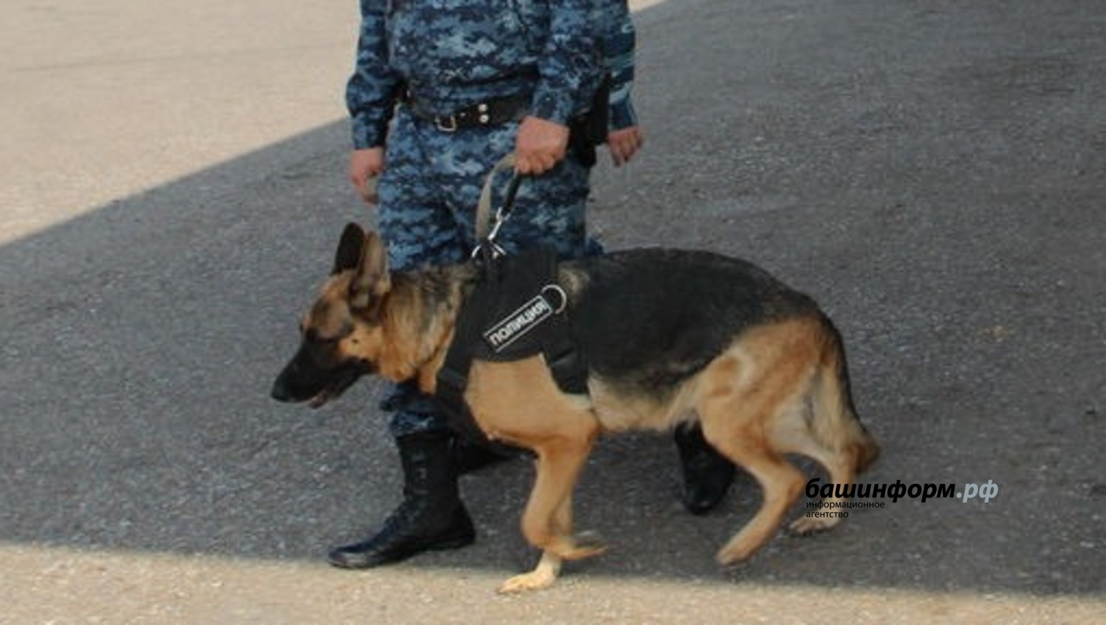 Ксения Калинина