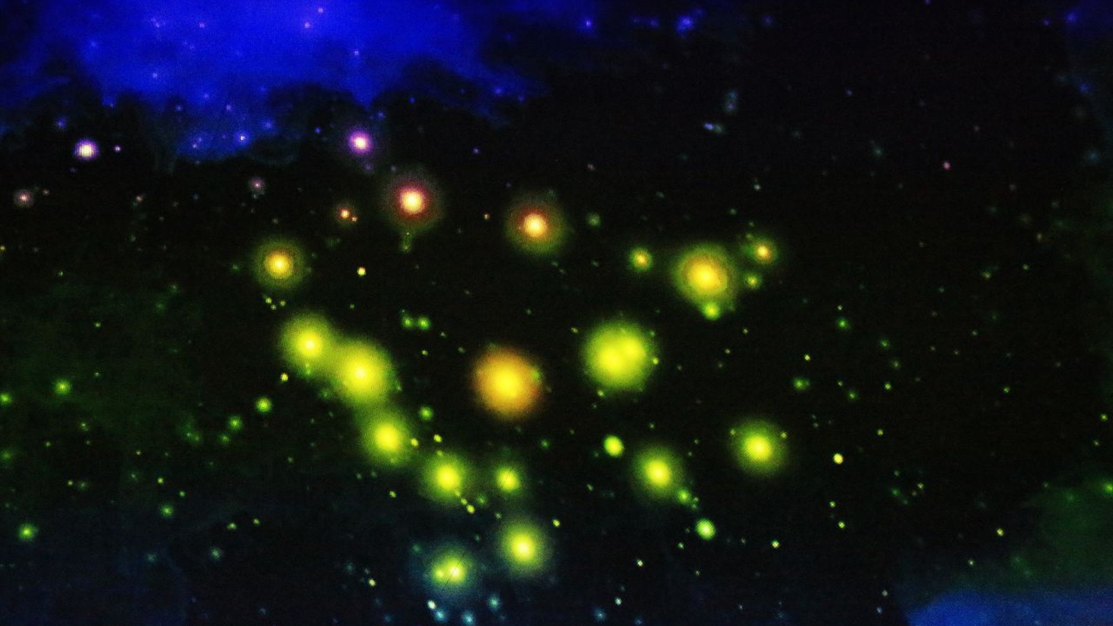 Андрей Старостин