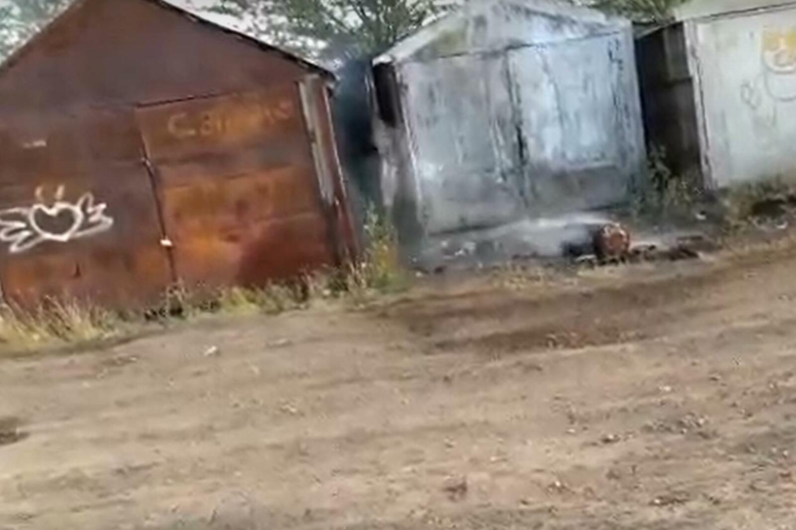 стоп-кадр видео