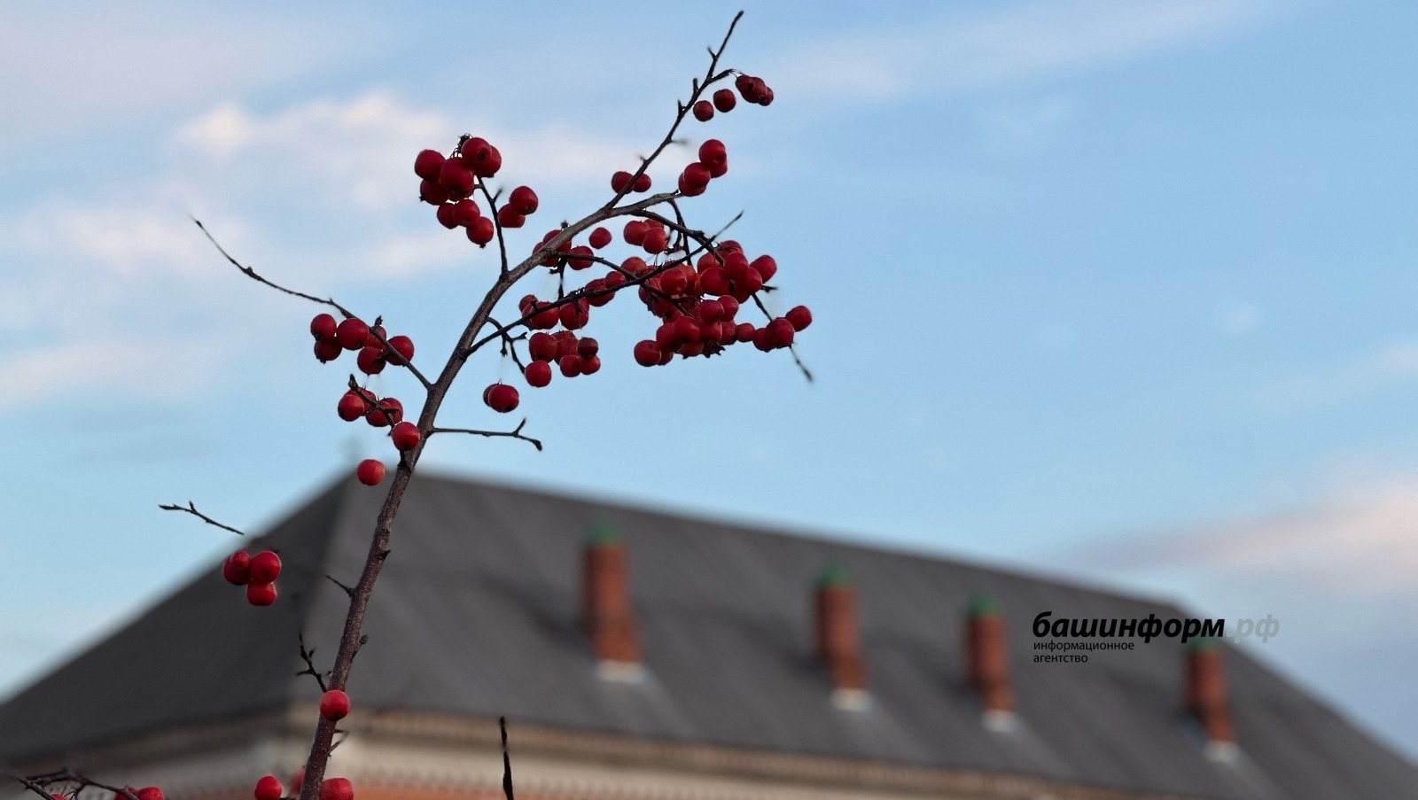 Ксения Калинина   ИА «Башинформ»