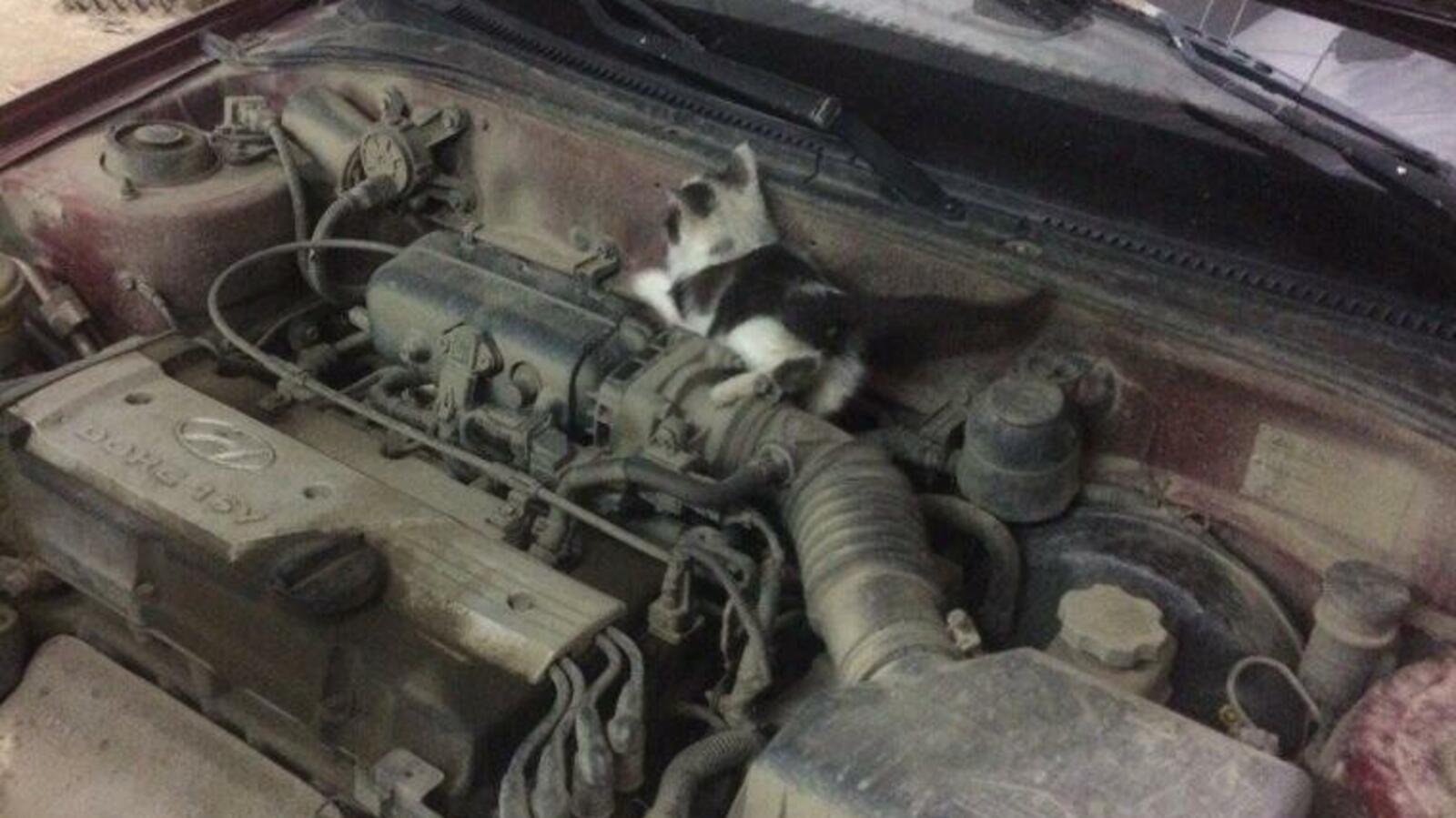 Равиль Бикташев