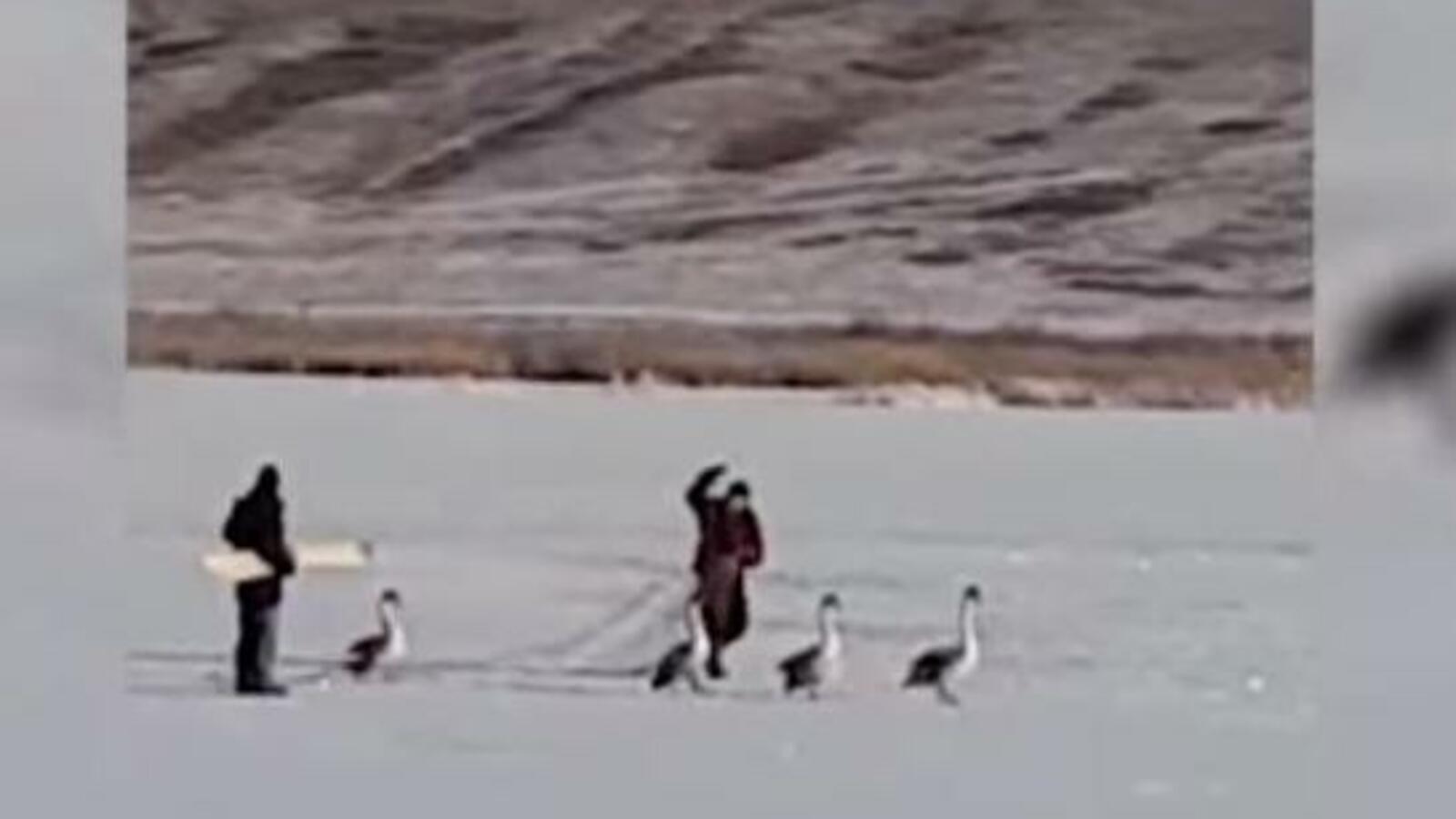 стоп-кадр видео ГТРК «Башкортостан»