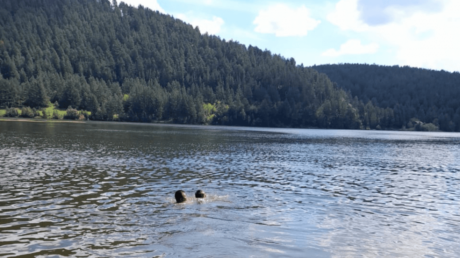 Госкомитет РБ по ЧС