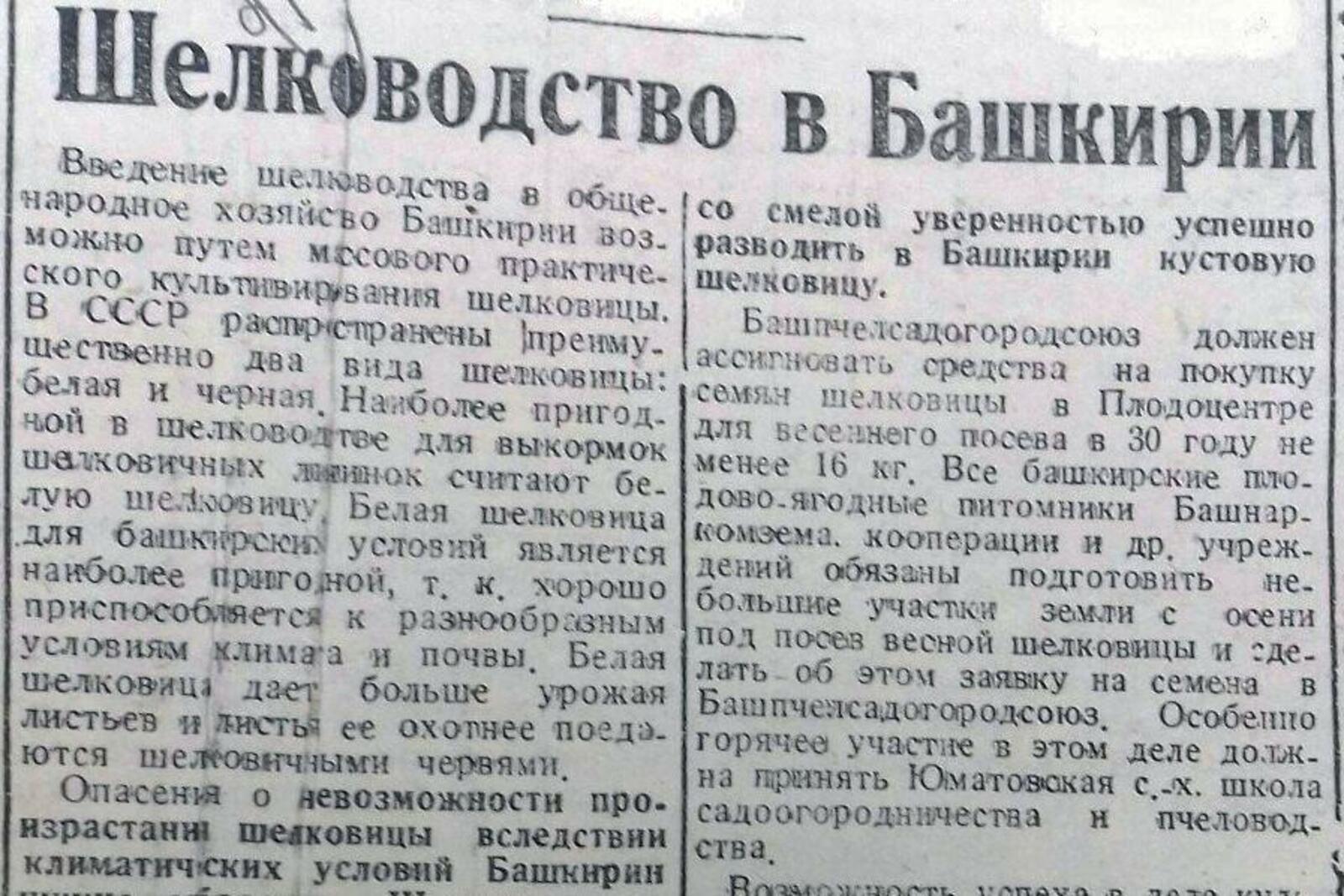 Книжная палата РБ