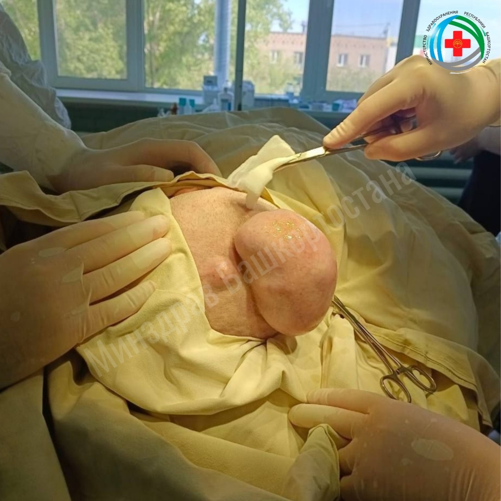 МЗ РБ телеграм