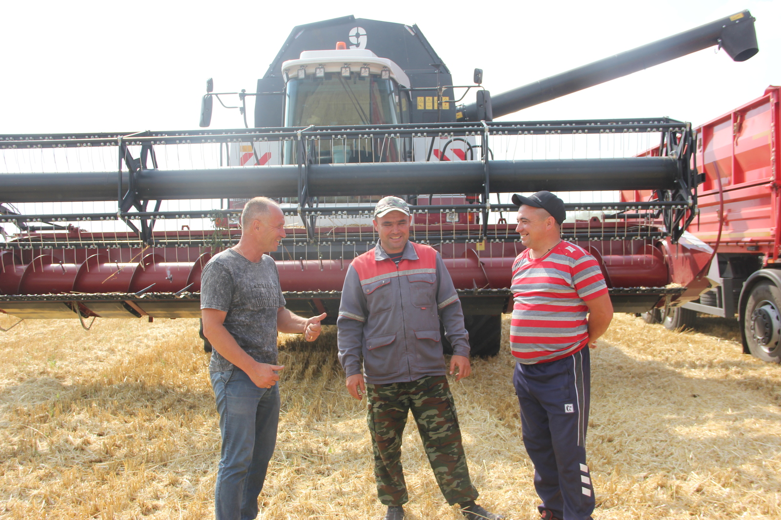 В первый день августа ООО «СХП Нерал-Чишмы» Чишминского района приступили к уборке озимой пшеницы