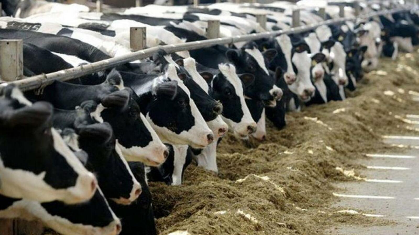 Минсельхоз РБ