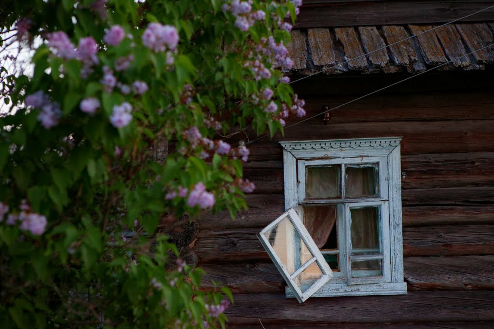Мамин старенький домик. Деревенский домик. Старый домик. Старинные окна. Окно в деревенском доме.