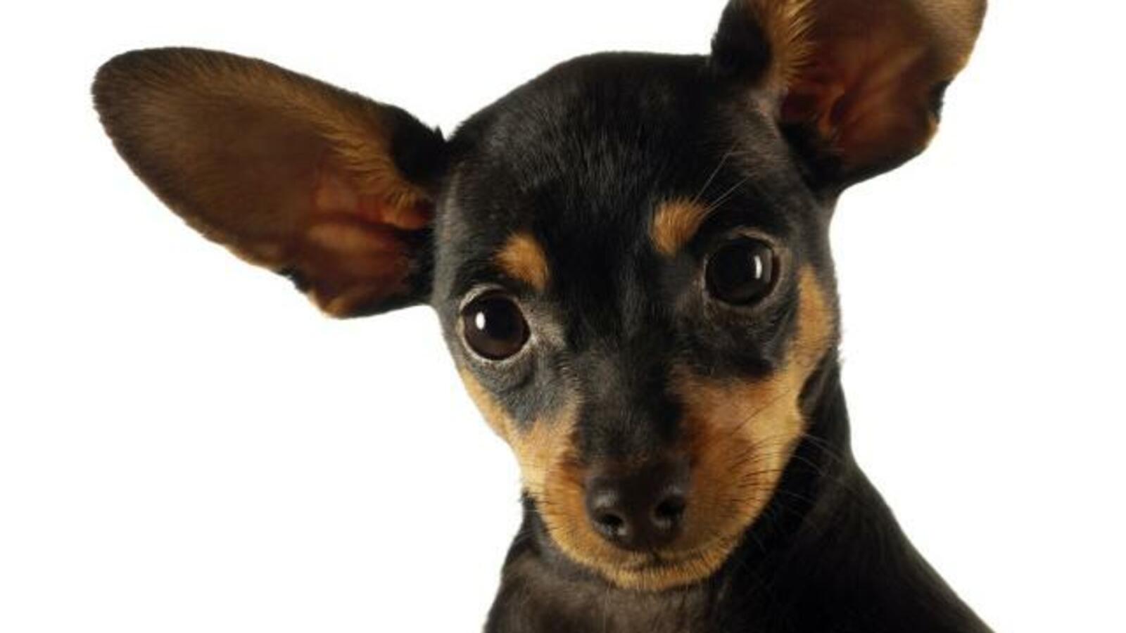 открытый источник