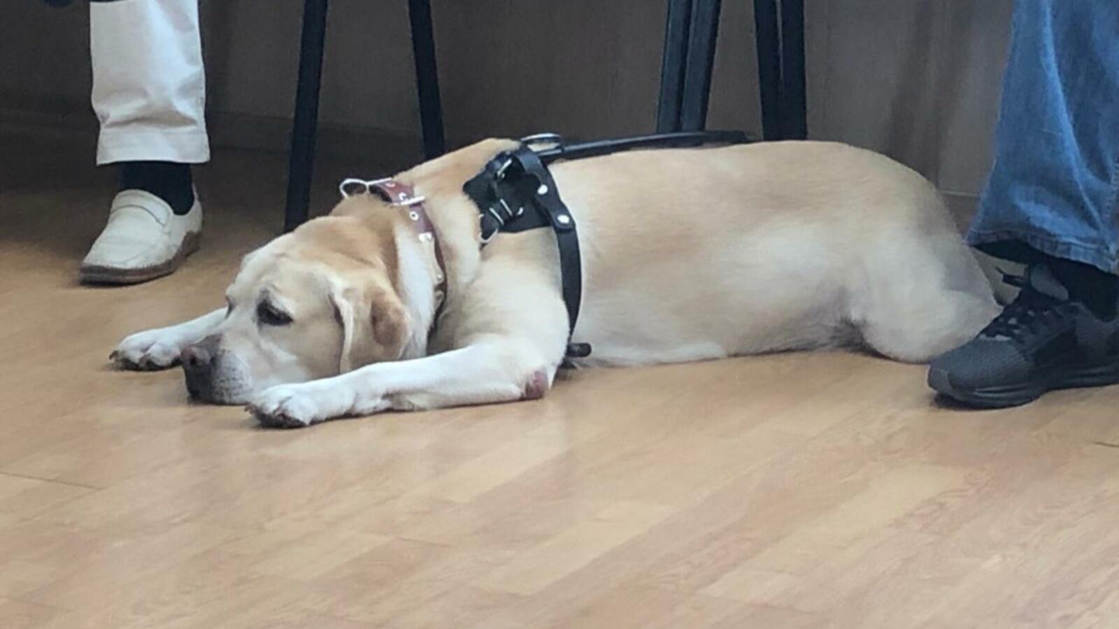 ИА «Башинформ»