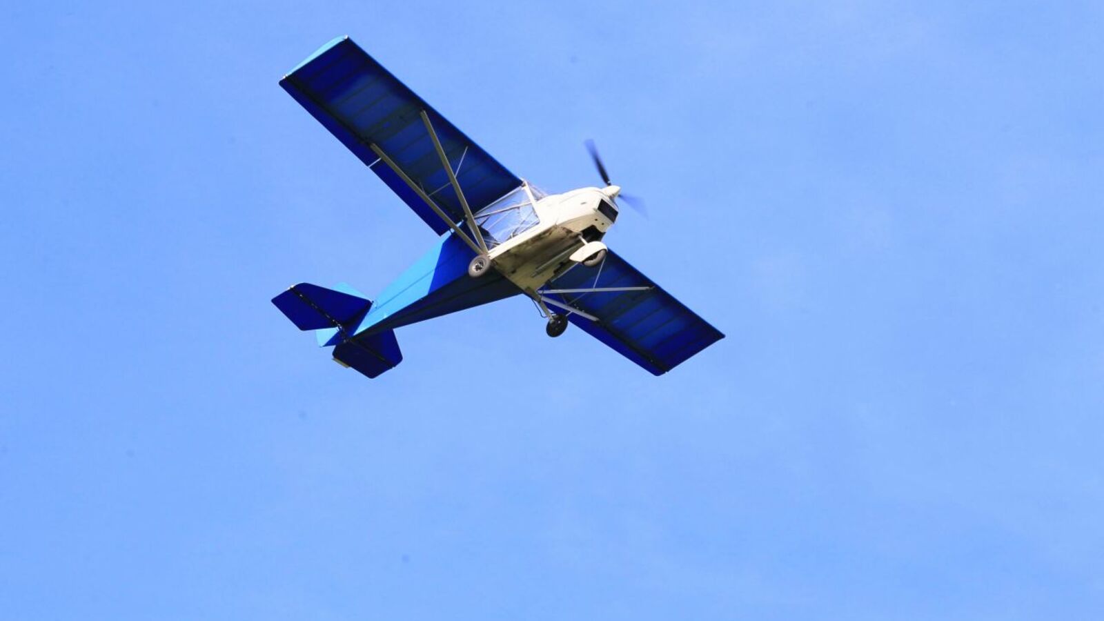 Андрей Старостин