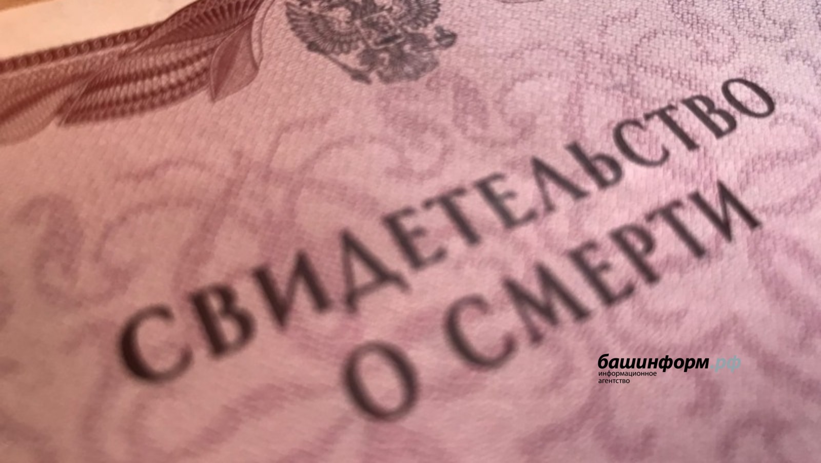 Ксения Калинина