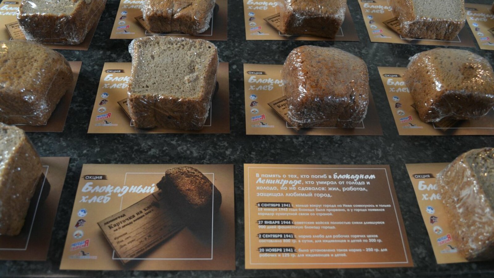 организаторы