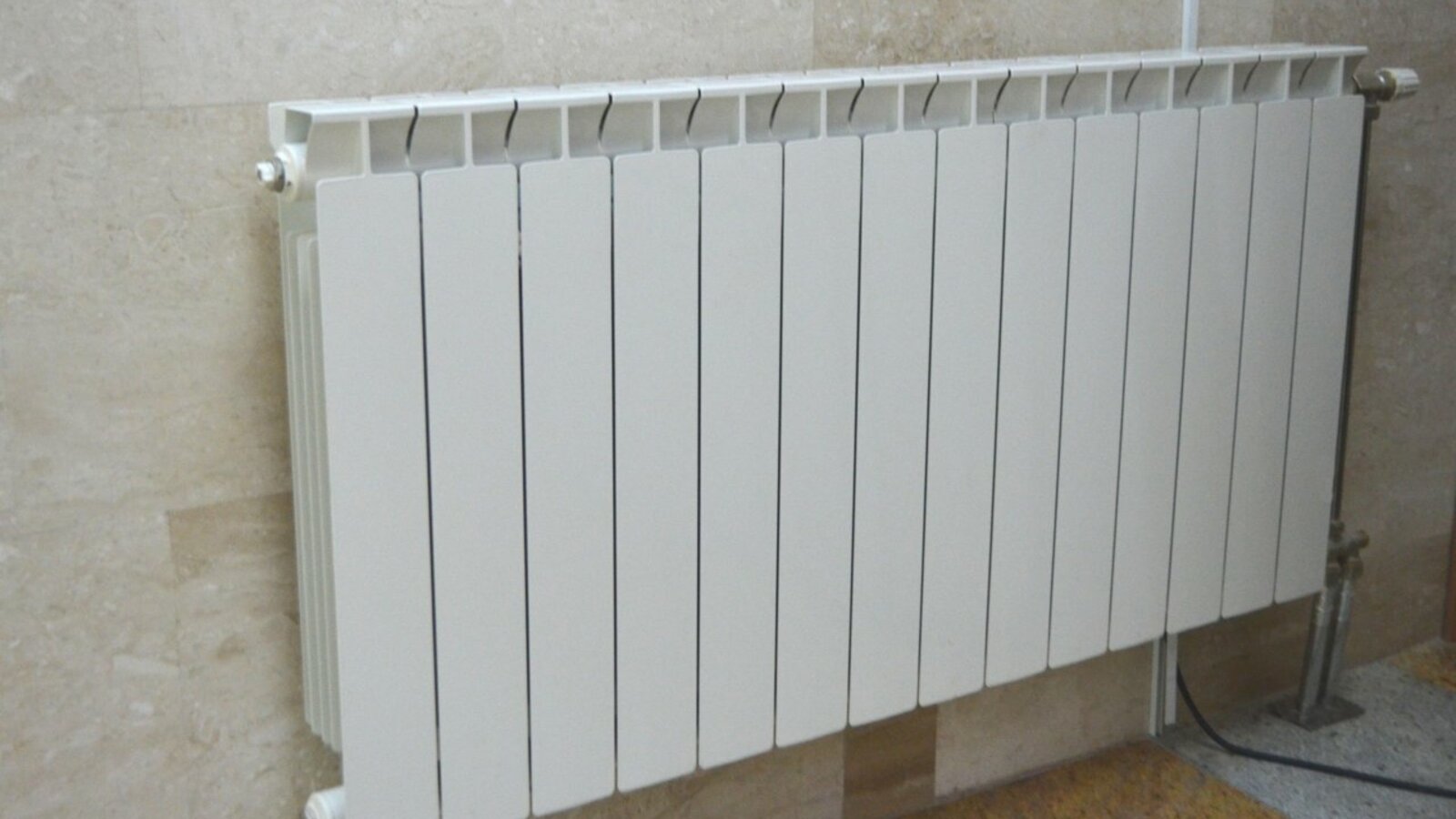 Ксения Калинина