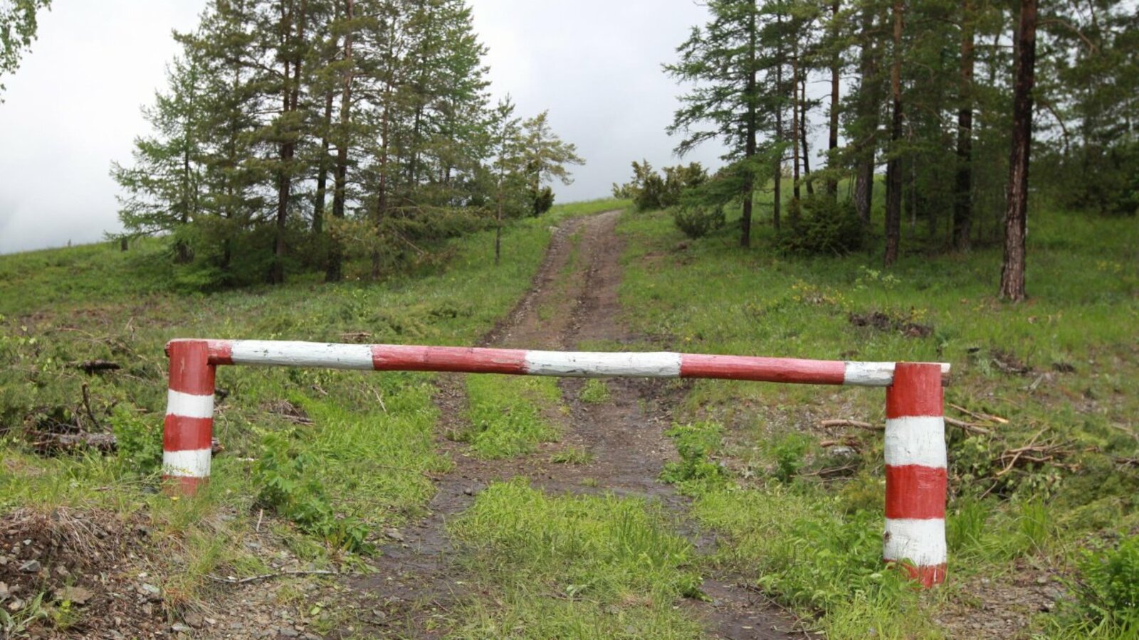 Олег Яровиков