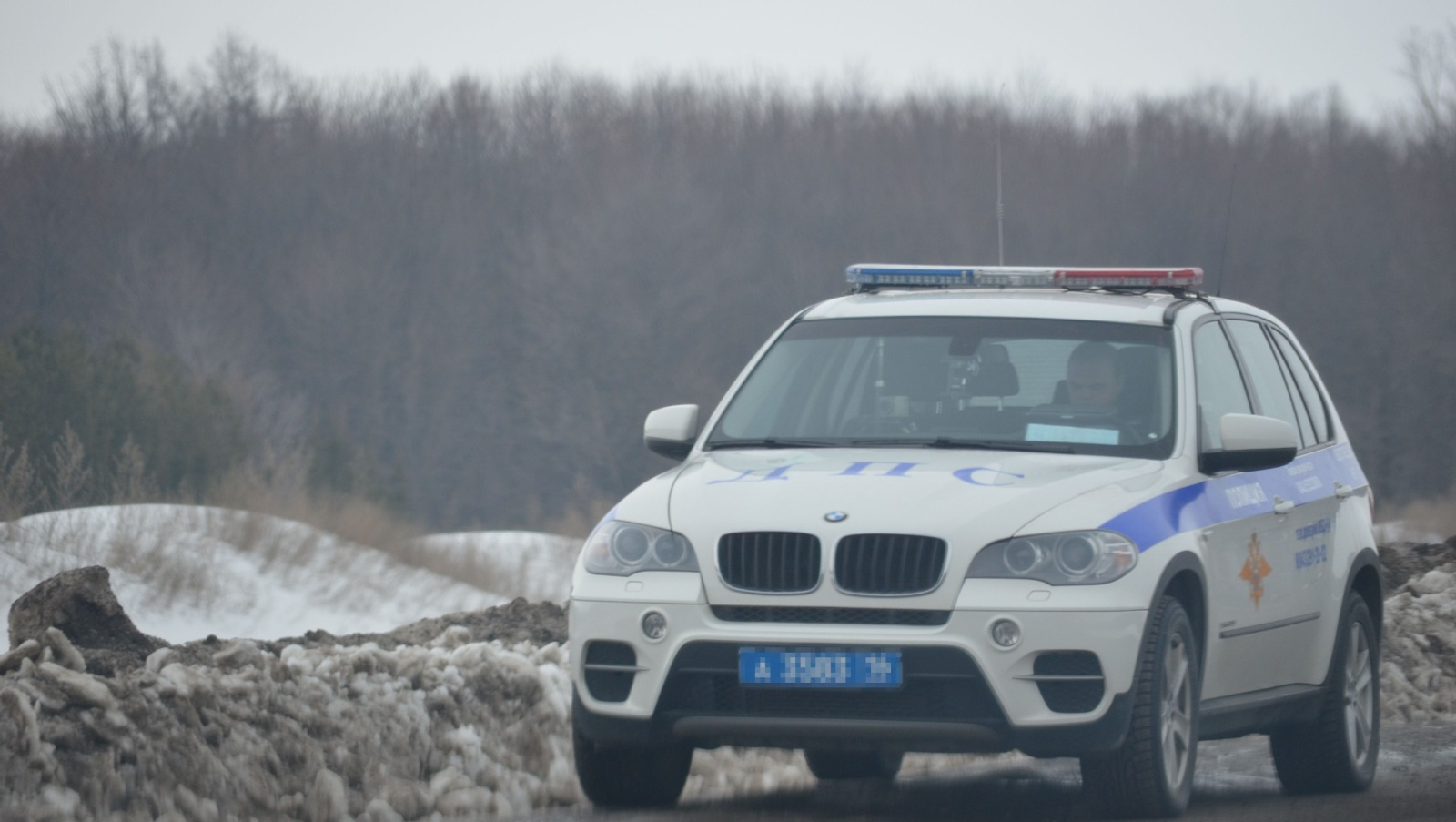 Ксения Калинина