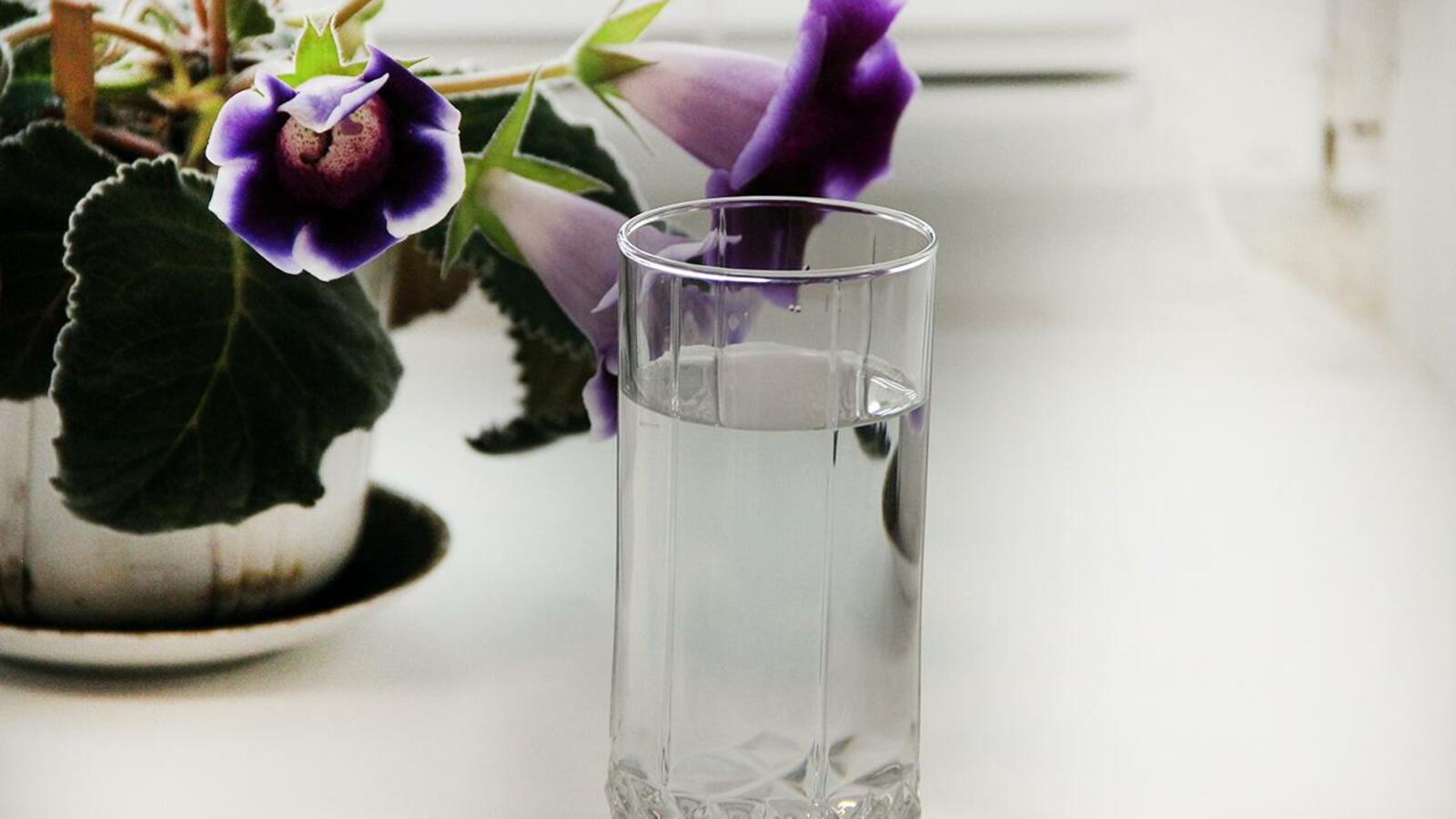 Книжная палата РБ