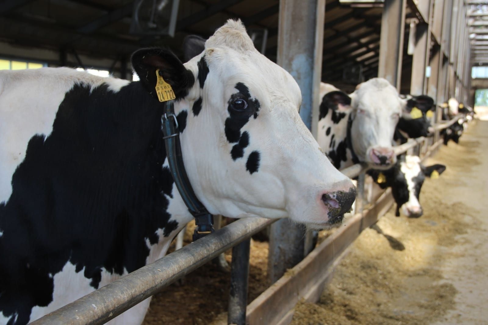 пресс-служба минсельхоз Башкирии