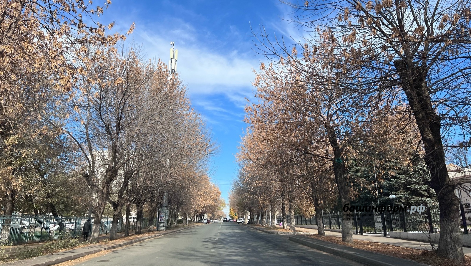 Ксения Калинина
