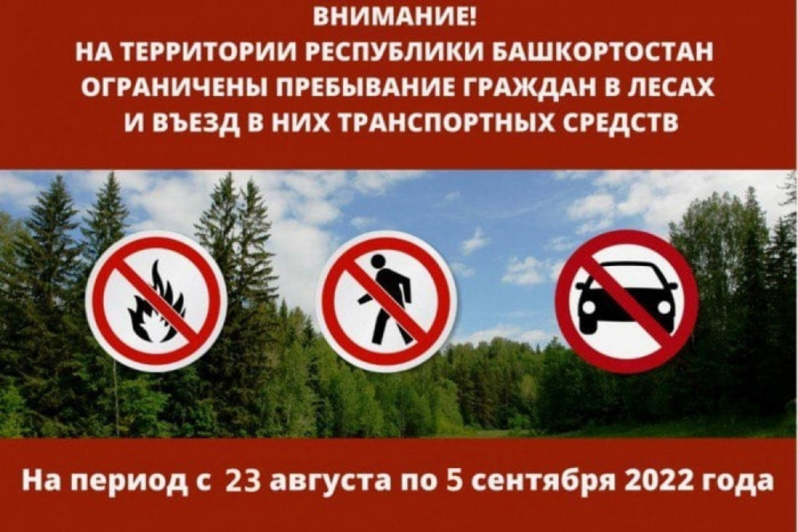 минлесхоз РБ