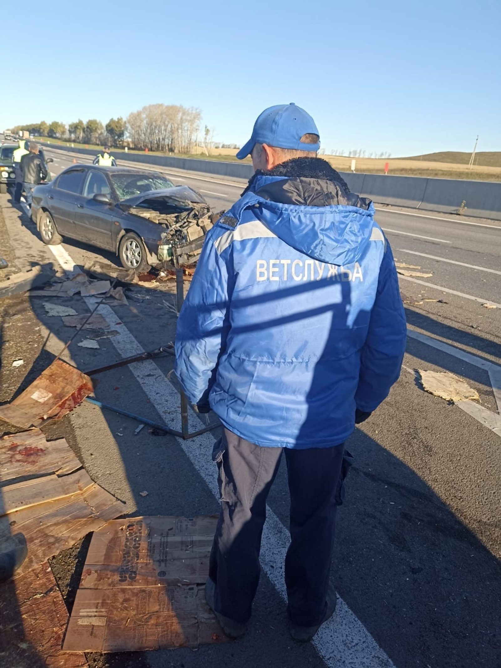 Башҡортостандың Тәбиғәттән файҙаланыу һәм экология министрлығы