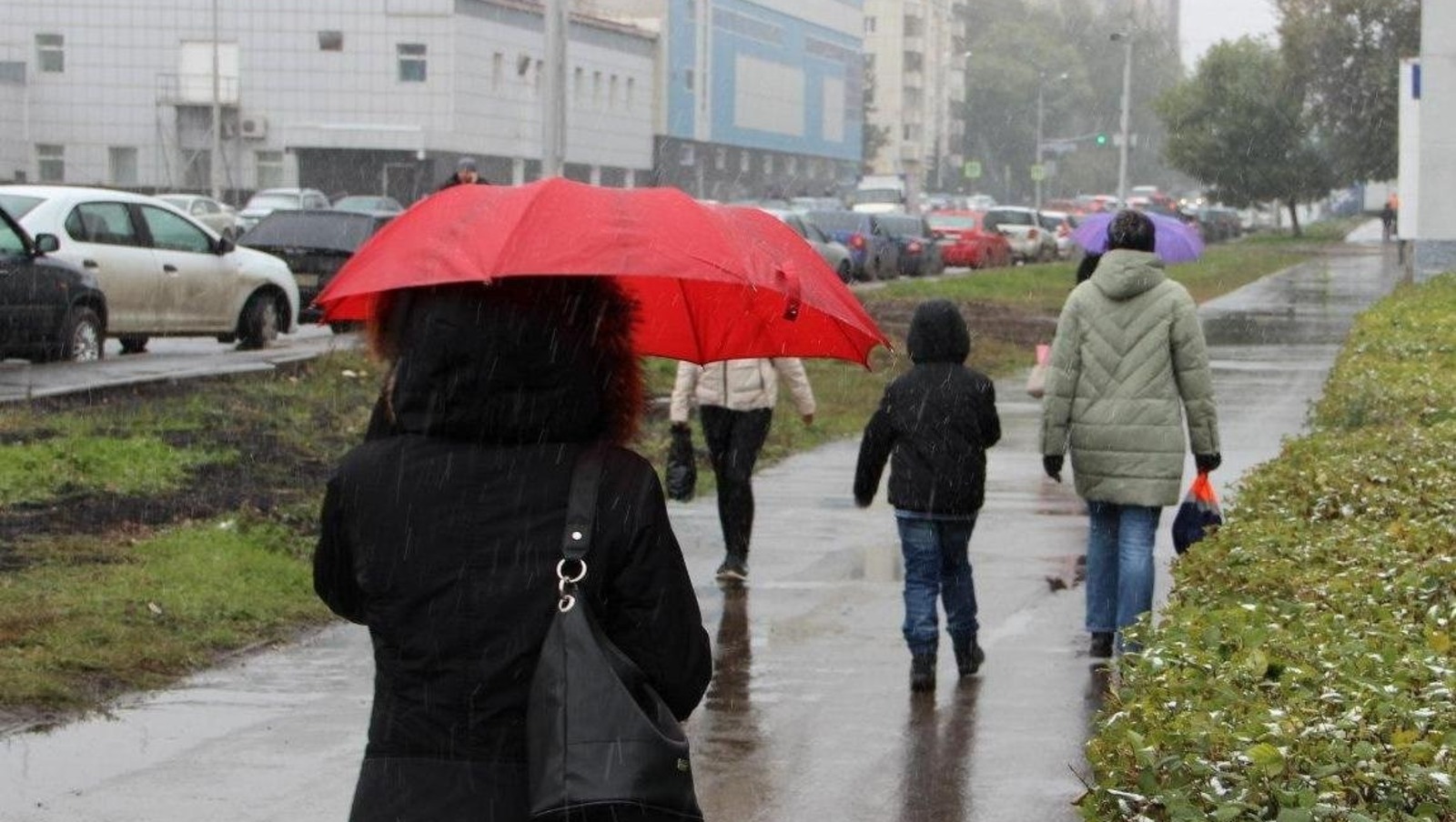 Ксения Калинина