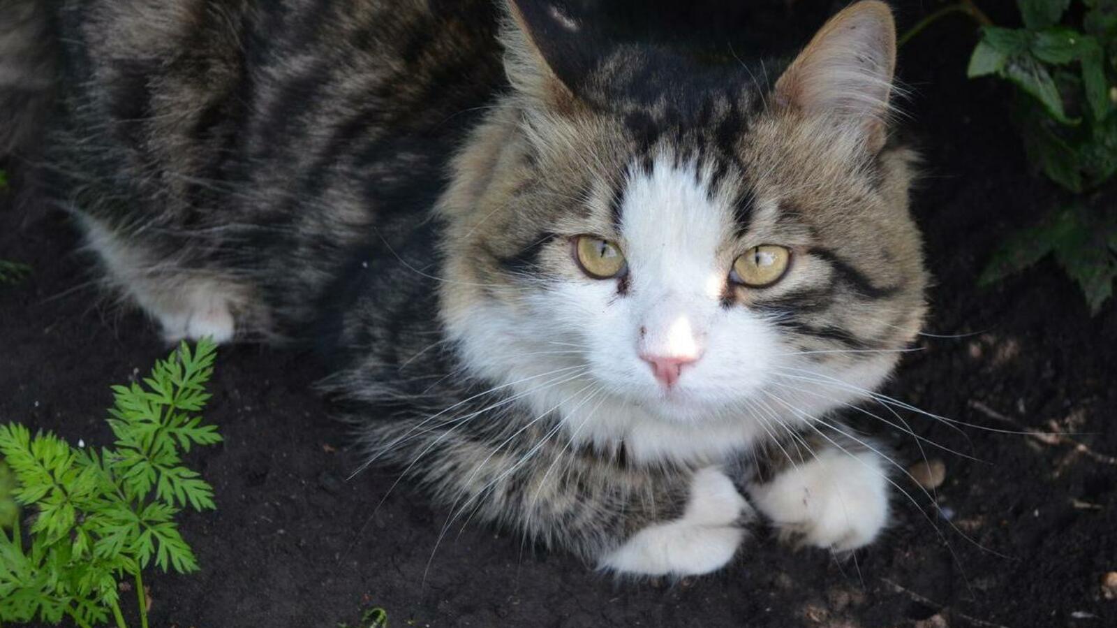 Ксения Калинина