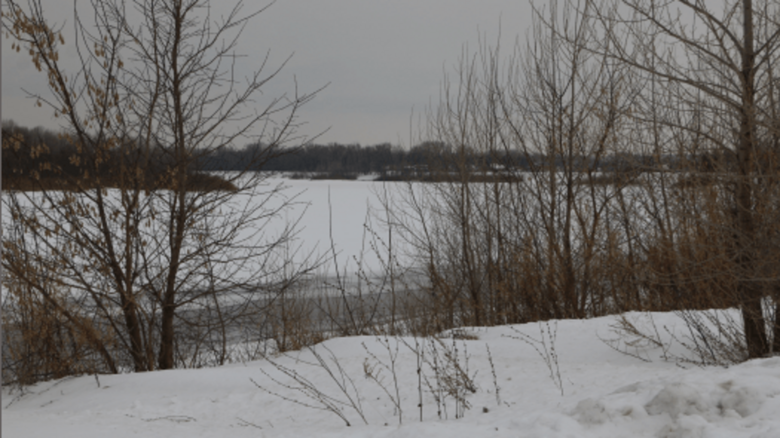 Госкомитет РБ по ЧС